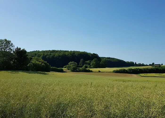 Ferienhaus Forstblick