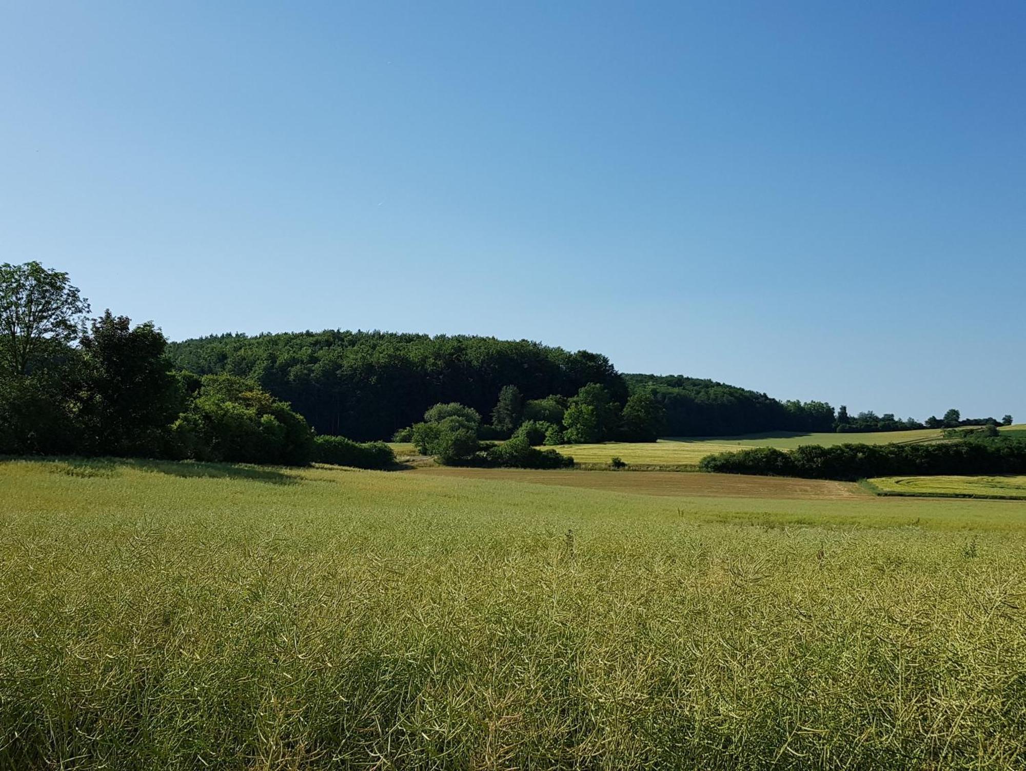 Forstblick Campsite