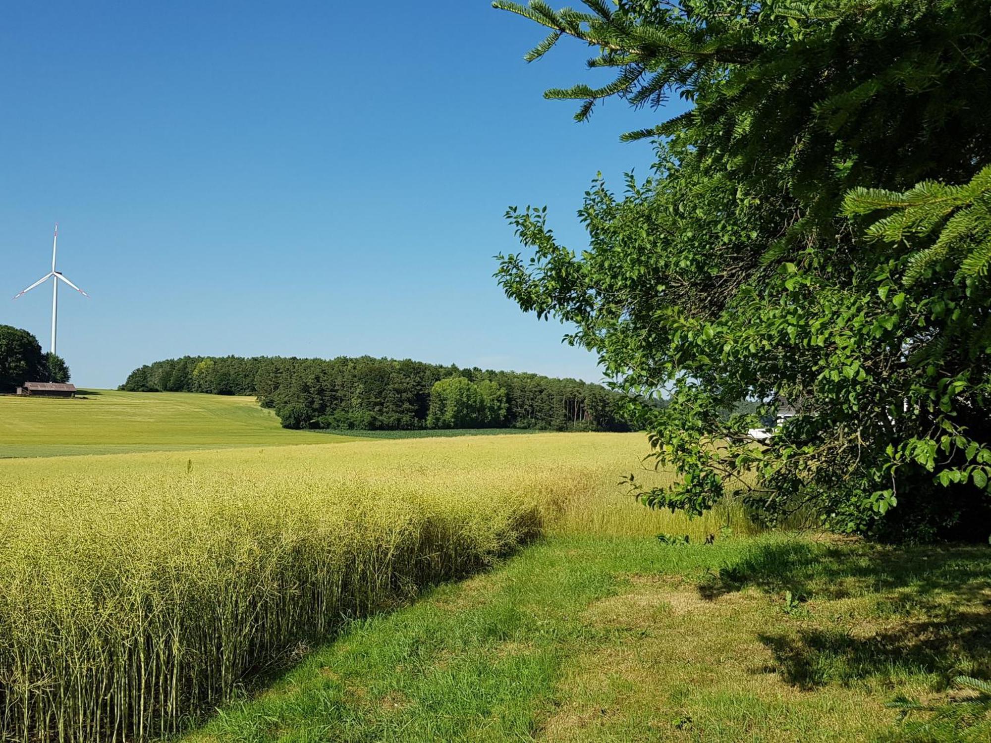 Forstblick * Betzenstein