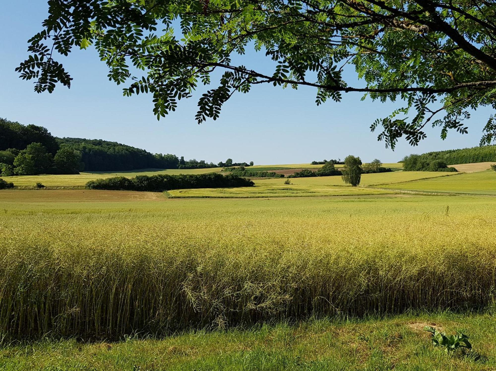 Campsite Forstblick *